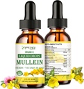 Mullein druppels voor de longen, Lung Detox & Cleanse voor de rook, Biologische Mullein Leaf Extract voor de longen w. Vlierbessen, Gember, Mullein Tinctuur Alcoholvrij voor de ademhaling Lung Health 2 FL/OZ