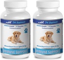 Immuunversterker - Advanced Immuun System Support - CHEWABLE - voor honden - ashwagandha voor honden - 2 fles (180 kauwgom)