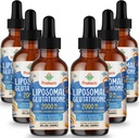 2000MG Liposomale Glutathion Vloeibaar, 98% Absorptie, Actieve Vorm L-Glutathione Supplement, Vegan vriendelijk, Krachtig Antioxidant Complex voor Immune System, Veroudering Verdediging, Detox, 12 FL.OZ