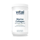 Vital Nutrients Marine Collagen Powder Unflavored - Hair, Skin, Nails, & Joint Support* - Type I & III Collagen Powder Supplement from Wild-Caught Fish - Gluten, Dairy, Soy Free - 300 Grams