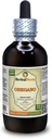 Oregano (Origanum Vulgare) Tinctuur, Biologische gedroogde bladeren Liquid Extract (Grote naam: HerbalTerra, Trots Made in USA) 4 fl.oz (120 ml)
