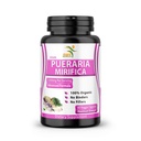 Pure Poudre d'extrait de racine 500mg de supplément de Mirifica de Pueraria Importée de Thaïlande - Promotion de la santé des femmes, Herbal naturel biologique, 60 Capsules de légumes