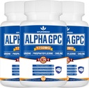 15-in-1 Alpha GPC Supplement met Fosfatidylserine, Uridine, L-Theanine, Lion's Mane Paddo, 180 Capsules