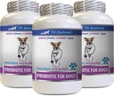 Vomissement du chien Diarrhée - PROBIOTIQUES pour chiens - Gout sain - Stop Diarrhée gazeuse et mauvaise haleine - Boost digestif - Chien probiotiques à croquer Buddy - 3 bouteilles (180 gâteries)
