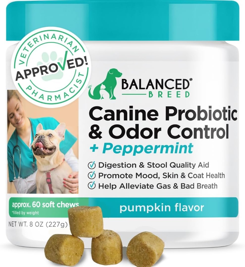 Probiotiques de races équilibrées Enzymes de santé digestives fabriqués aux États-Unis Fortiflora Probiotiques approuvés Chiens Suppléments anti-levure Constipation Relief Dog Yeast Itchy Peau Itchy Oreilles Non-OGM
