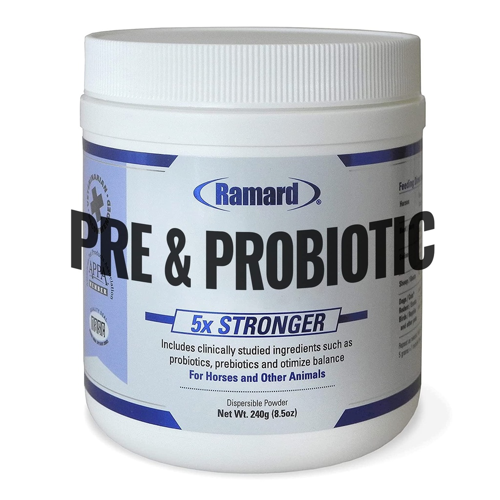 Ramard Total Prebiotic & Probiotic Equine Formula - Natural Dispensive Supplement for Horses Optimal Gut Health, Nutrient Absorptie, Foal Support Pro & Pre Biotics for Animals and Horse 8.5 oz Jar