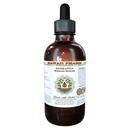 Hawaii Pharm Rehmannia Extrait liquide sans alcool, grade professionnel, petite lot de Rehmannia (Rehmania Glutinosa) Glycérite de racine séchée 2 oz