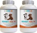 Régime urinaire pour chiens - Complexe de santé urinaire pour animaux de compagnie - pour chiens et chats - Support avancé pour vérins - Uva Ursi pour chiens - 2 bouteilles (180 traites)