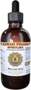 HawaiiPharm Spirulina Liquid Extract, Organische Spirulina (Arthrospira platensis) Tinctuur, Kruidensupplement, Made in USA, 2 fl.oz