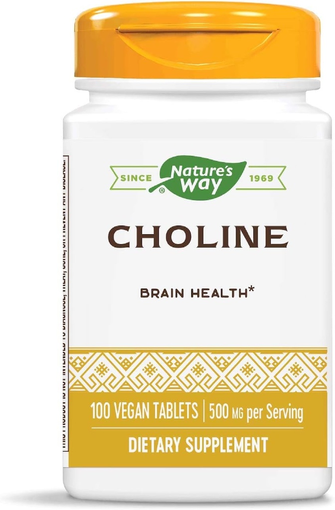Nature's Way Choline, 500 mg per portie, 100 tabletten (verpakking van 2)