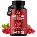 Supplément de circulation sanguine, 120 capsules, soutient la veine des jambes, le cœur, les vaisseaux et la santé cardiovasculaire avec Niacine, L-Arginine, Ginger, Cayenne Pepper, Hawthorn, Diosmin, pilules de flux sanguin