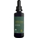 Global Healing Center - Biologische Ashwagandha Supplementen Drops - KSM-66 Ashwagandha Extra kracht voor mannen en vrouwen, helpt de verlichting van stress te bevorderen, Mood Support, Biologische (2 Fl Oz)