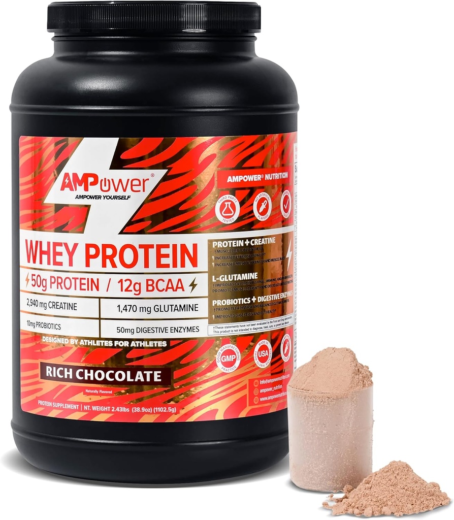 Chocolate Whey Protein Powder 