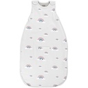 Woolino Merino Wool Ultieme Baby Slaapzak - 4 seizoenen Baby Draagbare Deken - Two-Way Zipper verstelbare slaapzak voor baby's en peuters - Universele grootte (2-24 maanden) - Regenboog