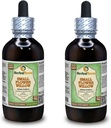 Kleine bloemenwilg (Epilobium parviflorum) Glyceriet, gedroogd kruidenalcoholvrije vloeibare extract (Grote naam: HerbalTerra, Trots gemaakt in USA) 2x4 f.oz (2x120 ml)