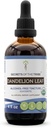 Secrets of the Tribe Dandelion Leaf Tincture USDA Extrait sans alcool biologique, gouttes à base de plantes à haute puissance, teinture faite de Taraxacum Officinale Système digestif sain 4 oz