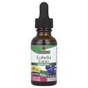 Nature?s Réponse Lobelia Herb Lobelia Inflata - Supplément naturel à base de plantes - Sans alcool au gluten - Idéal pour l'immunité Santé globale Bien-être ? 690mcg (1 FL Oz)