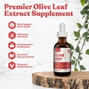 Rejuvica Active Olive Leaf Extract | Naturally Occurring Oleuropein Liquid Drops for Immune & Heart Support | Fast-Absorption, Vegan, Alcohol-Free | 6 fl oz