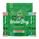Waterboy workout hydratatie 2 960mg suikervrij elektrolytpoederverpakkingen 