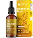 Dandelion Root Extract Drops 2000mg (Taraxacum officinale L.) Kruidensupplement Absorbs Beter dan capsules, 1 maand levering, 84 porties, alcoholvrije tinctuur - 2 Oz, verpakking van 1