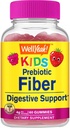 WellYeah Prebiotic Fiber Gummies voor kinderen - Digestieve System Support, Doctor Aanbevolen - Vegan Vriendelijk en Glutenvrij, GGO-vrij - Yummy Berry Smaken - 60 Tellen