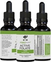 Active Folate Pure Liquid Extract Supplement - L-methylfolaat voor betere absorptie, hersenen gezondheid, verbeteren celfunctie, ondersteuning immuunsysteem, wateroplosbare B Complex, 1oz - door Ziggy Health