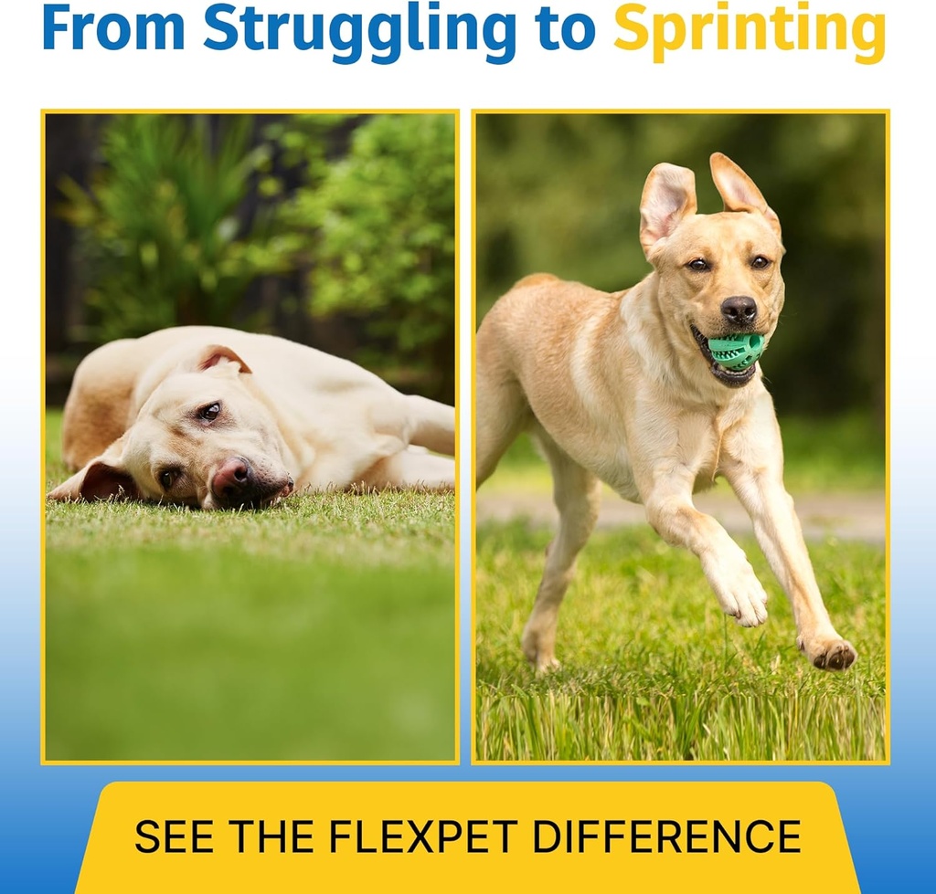 Supplément Hip & Joint pour chiens et chats avec myristoléate de cetyl, glucosamine, collagène, MSM - Support mixte avancé pour la mobilité, animaux de compagnie âgés, petites et grandes races - 180 comprimés (Pork Liver)