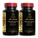 L-LYSINE 500 - L-Lysine 500mg, voor gezonde immuunfunctie, Ondersteunt Collageen Synthese, Soy-Free, Gluten-Free, Non-GMO, Lysine Supplement ondersteunt gezonde Lip en Orale Weefsel - 2 flessen 200 Telt