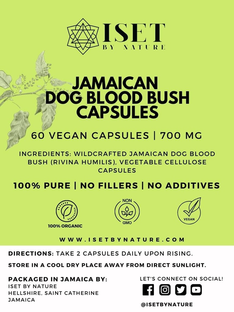 Iset By Nature Jamaican Dog Blood Bush Capsules 1400mg - Suppléments de fertilité pour les femmes pour soutenir l'équilibre hormonal et la conception, PCOS Relief with Organic Jamaican Dog Blood Herb - 60 Capsules, Vegan