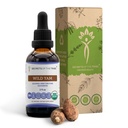 Geheimen van de Stam Wild Yam Alcoholvrije USDA Biologische Tinctuur (Glyceriet) 695 mg Responsible gekweekte Wild Yam (Dioscorea Villosa) Gedroogde Wortel (2 Fl Oz) Hormone Ondersteuning Supplement
