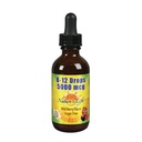Nature's Life B-12 gouttes, méthlycobalamine 4 oz (2 Fl Oz (paquet de 1))