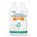 Orgabay Liposomale NAD+ Supplement 500 mg, Hoge Absorptie, Boost NAD+ met TMG 250 mg, Werkelijke NAD Plus Efficiënter dan Nicotinamide Riboside, Ondersteuning Cellular Energy, Gezond Verouderen 60 Softgels