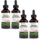 Maxx Herb PAU D'Arco Tinctuur - Max Strength PAU Darco Extract voor Immune Support, Taheebo Thee Innerlijke Bark Absorbs Beter dan PAU Darco Capsules 