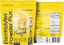 PoederVitamine Elektrolyten Poeder Plus (100 porties) Oranje Ananas Elektrolyt Poeder Zero Calorie, Keto, 0 Suiker, Geen Maltodextrine,1000mg Kalium,120mg Calcium,120mg Magnesium, Hydratatiepoeder