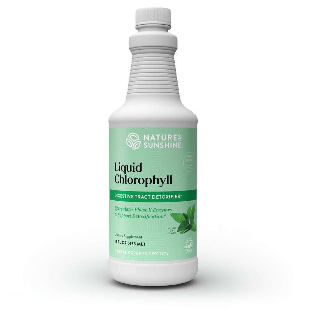 Chlorophylle liquide solaire de la nature - Immunity Support, Detox & Cleanse, Chlorophylle gouttes liquides à l'huile de spearmint, stimuler l'énergie naturelle, désodorisant interne - 16 Fl Oz