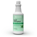 Chlorophylle liquide solaire de la nature - Immunity Support, Detox & Cleanse, Chlorophylle gouttes liquides à l'huile de spearmint, stimuler l'énergie naturelle, désodorisant interne - 16 Fl Oz