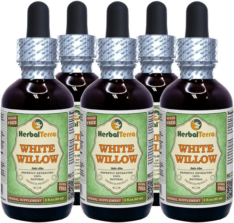 White Willow (Salix Alba) Glycérite, extrait liquide d'alcool-FREE séché à l'écorce biologique (Marque: HerbalTerra, Fièrement fabriqué aux États-Unis) 5x2 fl.oz (5x60 ml)