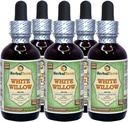 White Willow (Salix Alba) Glycérite, extrait liquide d'alcool-FREE séché à l'écorce biologique (Marque: HerbalTerra, Fièrement fabriqué aux États-Unis) 5x2 fl.oz (5x60 ml)