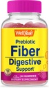 WellYeah Prebiotic Fiber Gummies voor Volwassenen Vezel Supplement voor Vrouwen en Mannen - Digestieve Health Fiber Supplementen - Veganistisch, Glutenvrij, en Non GMO - Berry Flavor - 60 Tellen