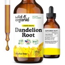 Extrait de racine de dandelion sauvage et biologique - Liver Cleanse Detox Support - Teinture de dandelion pour la santé du foie - Vegan, sucre et supplément liquide sans alcool - 4 fl oz