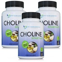 DOCTOR HERHALDE supplementen Premium Choline - 500 mg - 120 Veggie Capsules ondersteunt cognitieve gezondheid, geheugen & meer - 3 verpakkingen