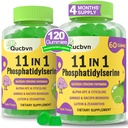 (2 Packs) Fosfatidylserine 600mg Gummies, Hersensupplement voor geheugen, concentratie en concentratie - Fosfatidylserinegeheugensupplement met Alpha GPC, B6 & B12 voor hersenen en cognitieve, 120 Gummies