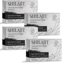 30.000 MG shilajit tabletten, 100% shilajit pure, Himalaya biologische, shilajit voor mannen en vrouwen rijk aan fulvinezuur & 85+ Trace Minerals, Silajit Supplement for Energy & Immune System, 240 Tel.