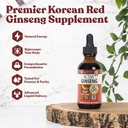 Actieve Ginseng Koreaanse Rode Panax Ginseng met natuurlijke Ginsenosides - Fast-Absorbing Liquid - Ondersteunt gezonde energie, vitaliteit, Mood en meer