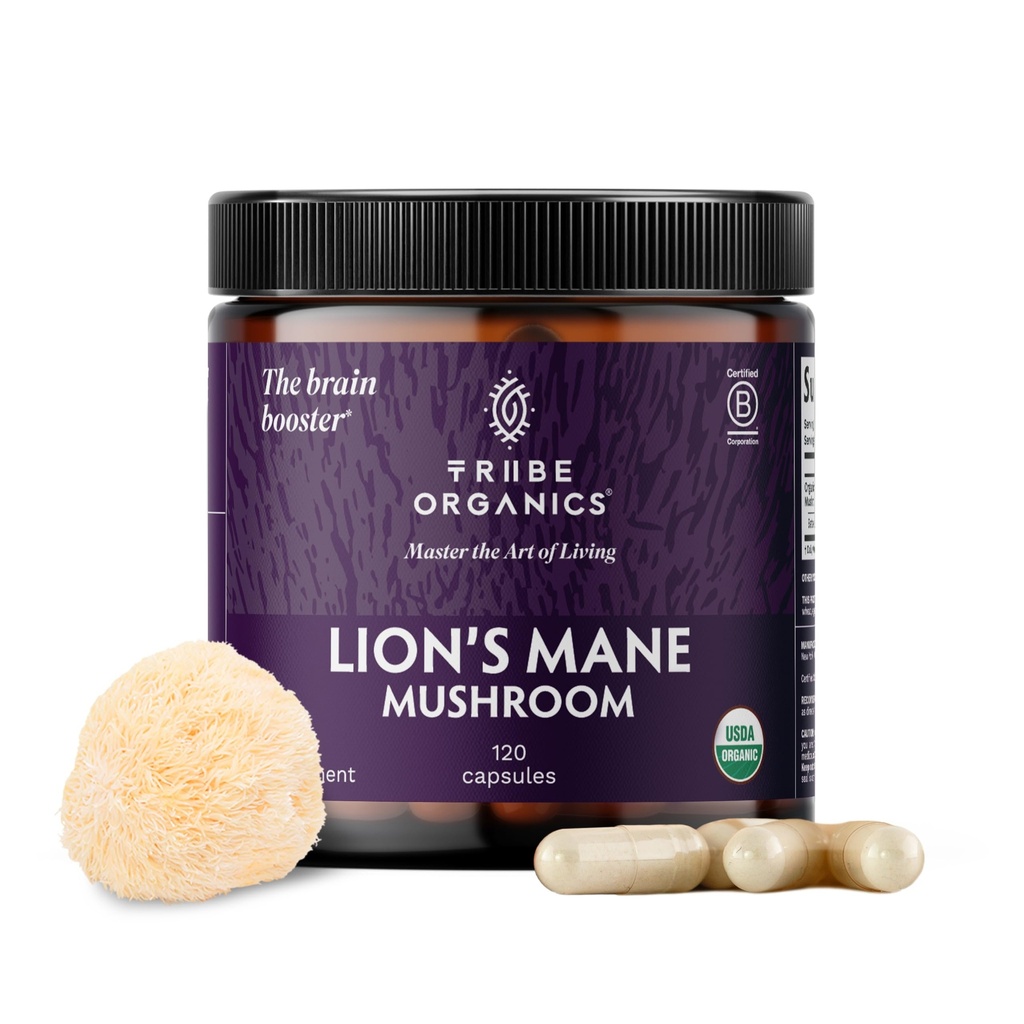 TRIBE ORGANICS Lion.com 1000mg Poudre d'extrait de champignons - Immune System Booster & Cerveau Nootropic pour Focus et Mémoire.