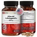 DailyNutra KSM-66 Ashwagandha 600mg Organic Root Extract - High Potency Supplement met 5% Withanolides 