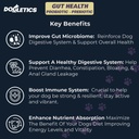 Gut Health Probiotic & Prebiotic - 90ct ondersteuning Maag Microbiome, voorkomen van spijsverteringsproblemen, verminderen van anale Gland problemen, verbeteren van de immuunfunctie en de totale energie