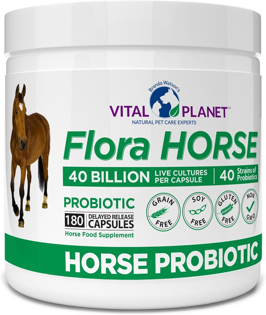 Vital Planet - Flora Horse Probiotic, High Potency Equine Probiotics with Prebiotics, 40 Miljard Live CFU from Multiple Strains, Digestive and Immune Support, 180 Delayed Release Capsules (180 Days)