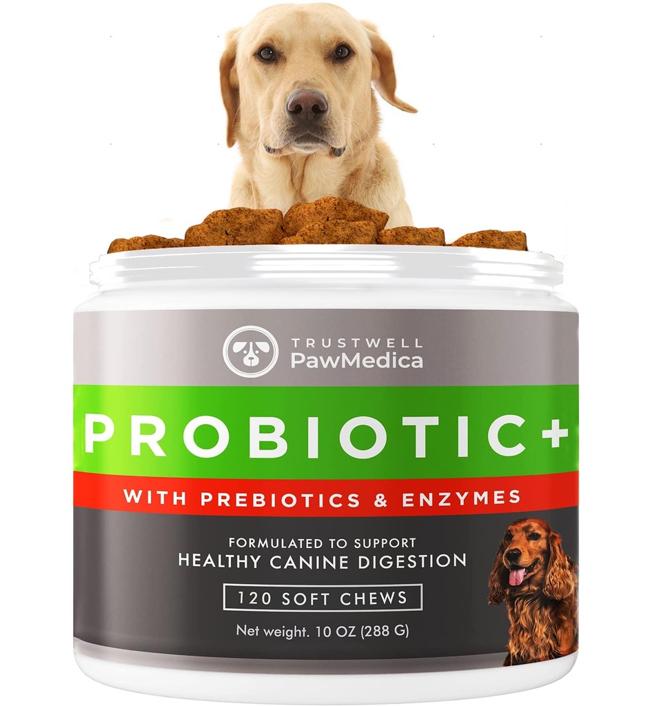 PawMedica Honden Probiotica en spijsverteringsenzymen, Probiotica voor honden Made in USA, Pet Probiotic Kauwen voor honden, Prebiotica & Probiotic Honden Digestieve Ondersteuning, Probiotic Treats - 120 Honden Probiotische Kauwen