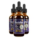 Geavanceerde slaapondersteuning supplement - vloeibare levering voor betere absorptie - Melatonine, Magnesium, Theanine, Valeriaan, Passiebloem, kamille en meer!